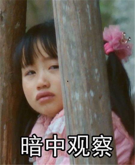 变形记2017表情包,趣味横生的网络文化现象