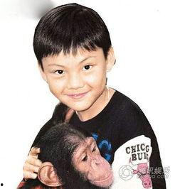 陈伟霆小时候的照片,从青涩少年到璀璨明星的成长轨迹